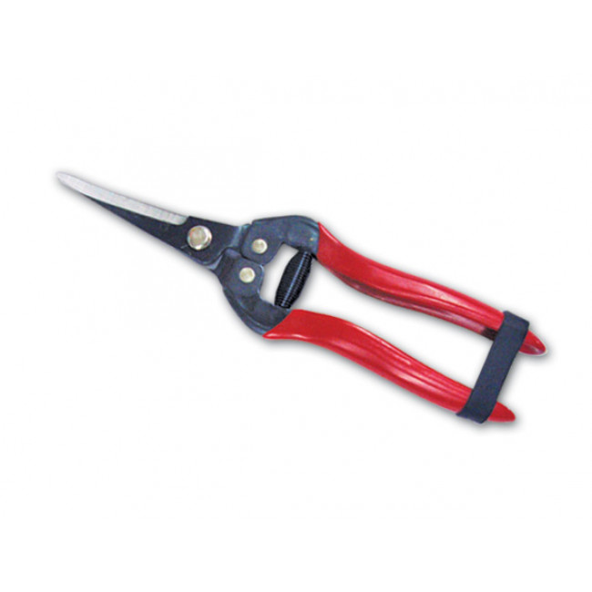 Ψαλίδι Τρίγου Ίσιο Μακρύ Taiwan