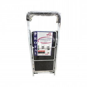 Σκαλοκάθισμα Σιδήρου Profal